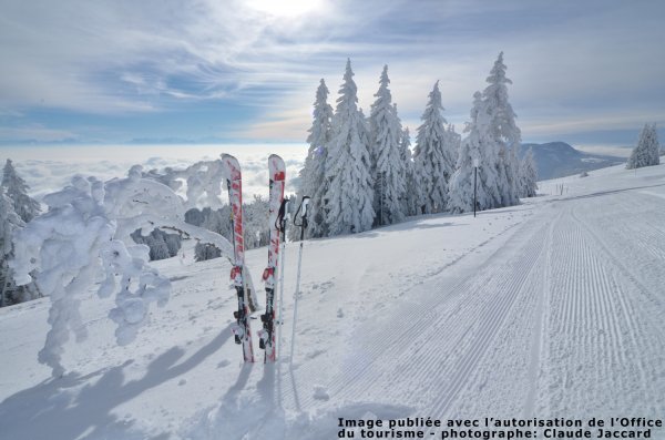 Ski_et_sapins-__Claude_Jaccard_copie.jpg